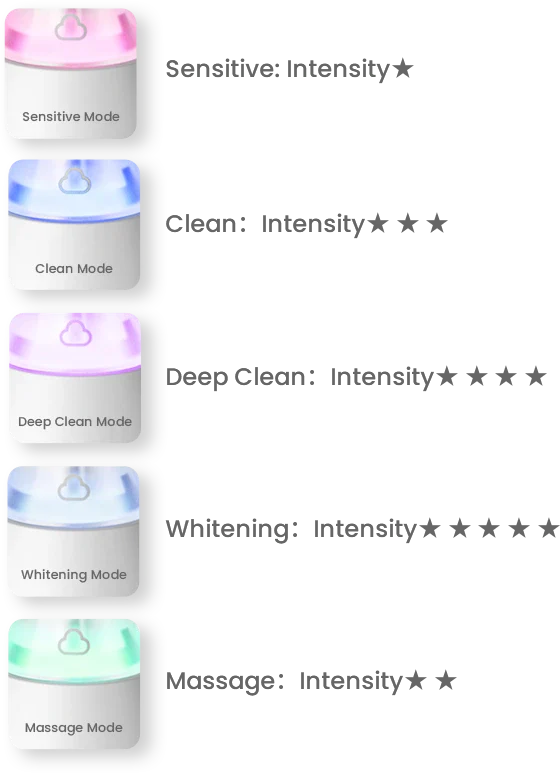 Ease Pro Sonic Toothbrush